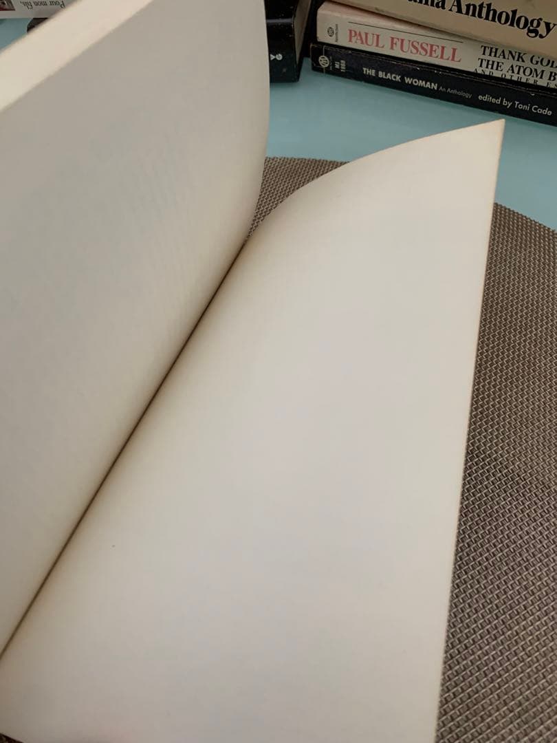 希少 Hiding Place by John Edgar Wideman