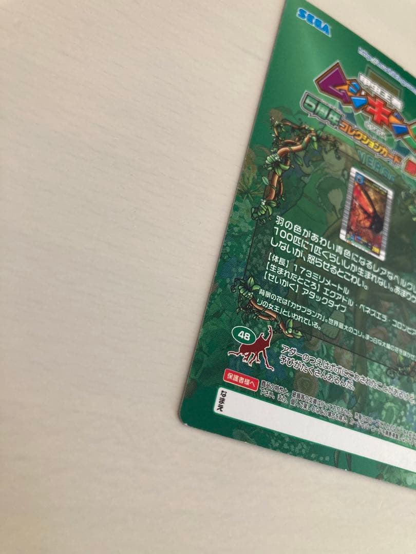 ムシキング ヘルクレスリッキーブルー 裏面アダー 5周年コレクション第