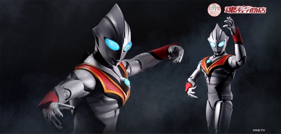 真骨彫 S.H.Figuarts イーヴィルティガ 新品未開封