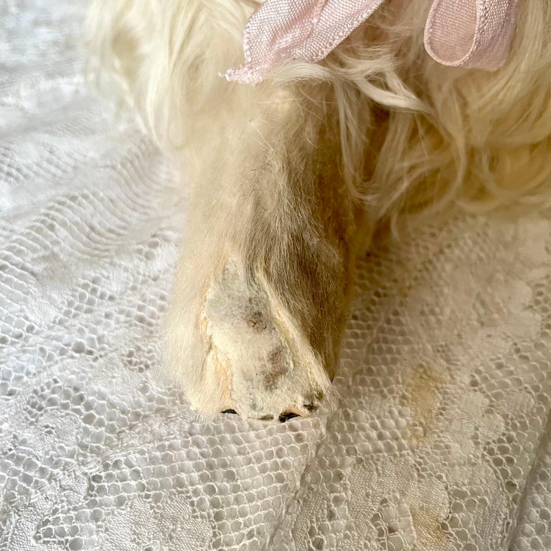 美品】パジャマドッグ LOU LOU フランスアンティーク ドール ジュモウ