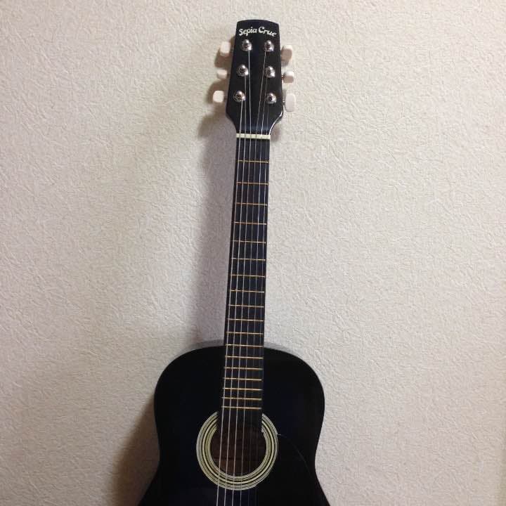 今人気のミニギター、色、ダークブルー Sepia Crue / W-50 ブルー ミニギター - HR/HMギター専門店 FUTURE WORLD