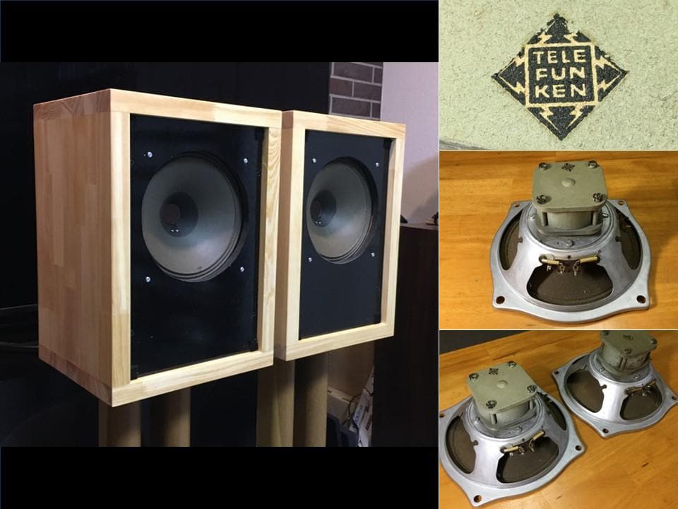 Telefunken 21㎝口径 外磁型アルニコシステム_雄大なスケール ペア