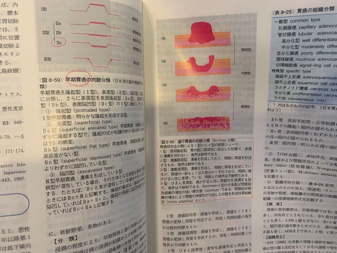 朝倉書店 内科学 第八版 分冊版