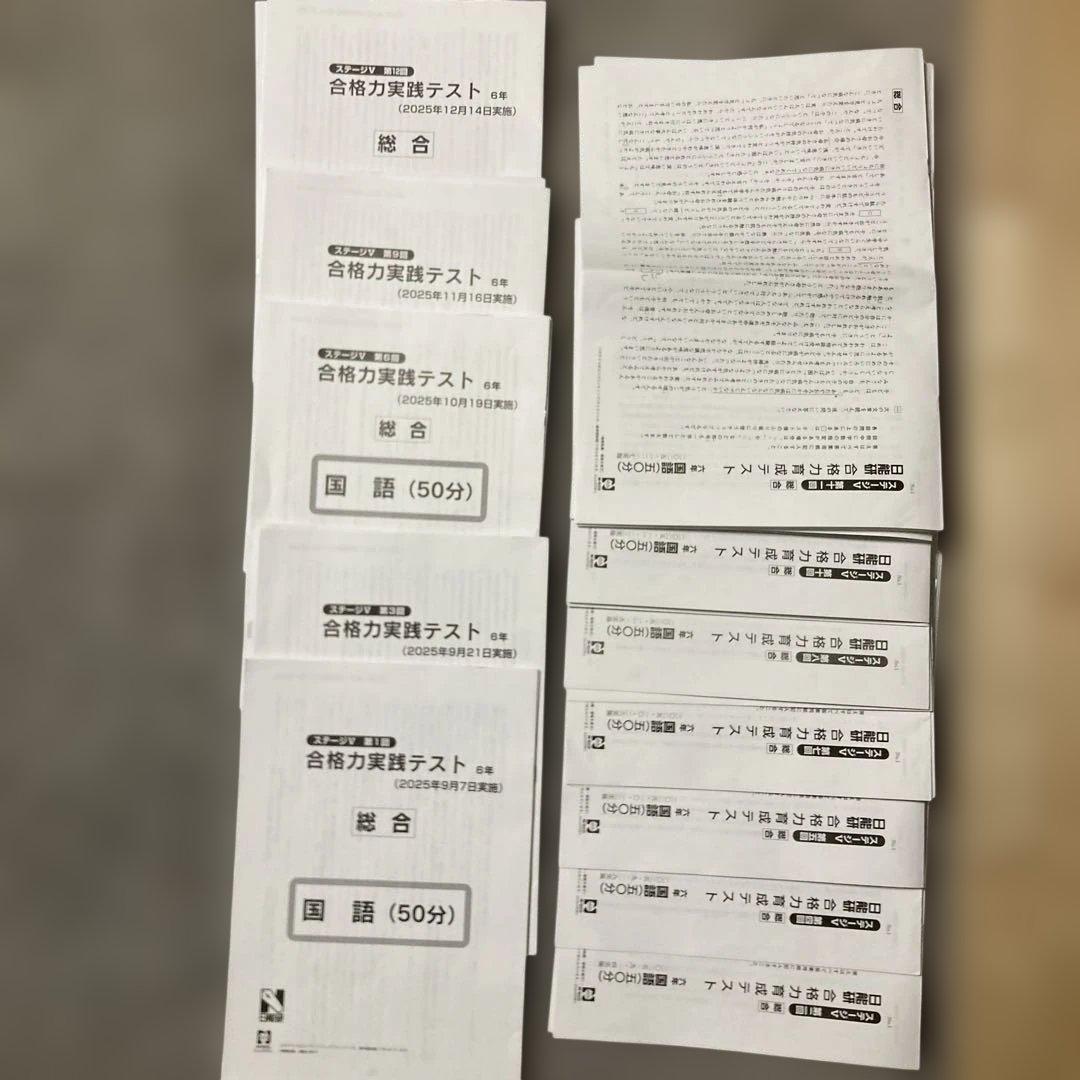 日能研6年（2025年度） 公開模試 育成テスト 夏期春期テスト 4科目