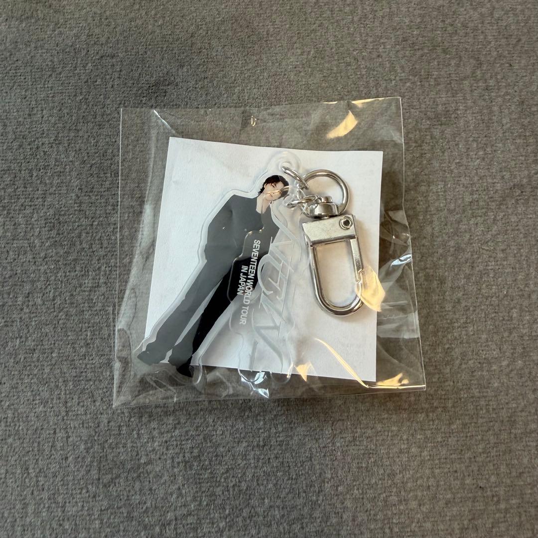 SEVENTEEN NEW_ ミニアクリルキーリング ディノ - メルカリ