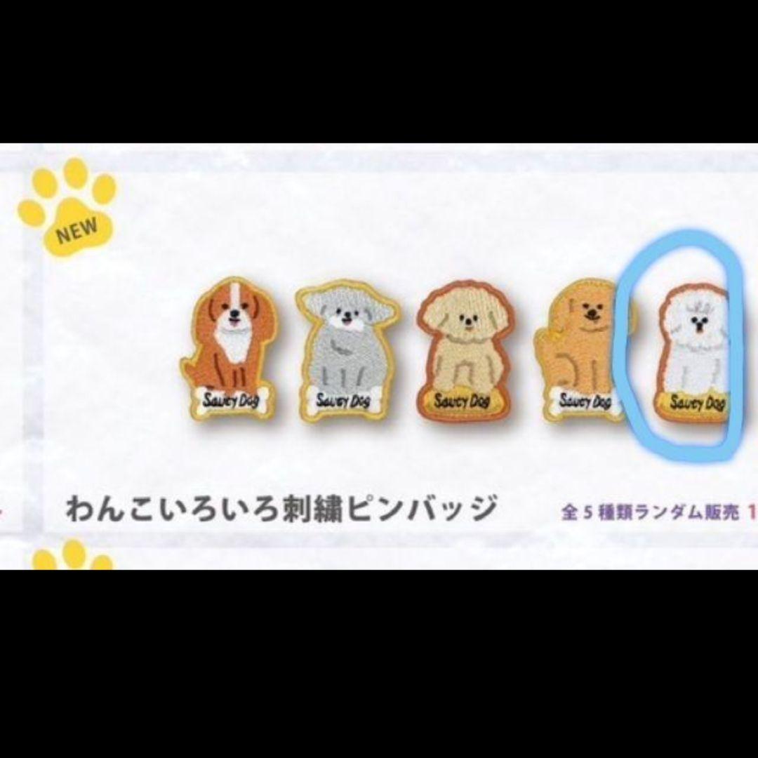 わんこぬいキーホルダー 茶色 Saucy Dog サウシードッグ いぬ 犬