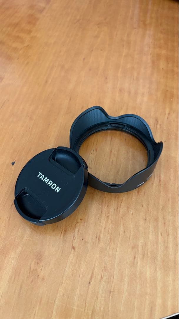 tamron 18-300 F/3.5-6.3 Di Ⅲ-A VC V XD