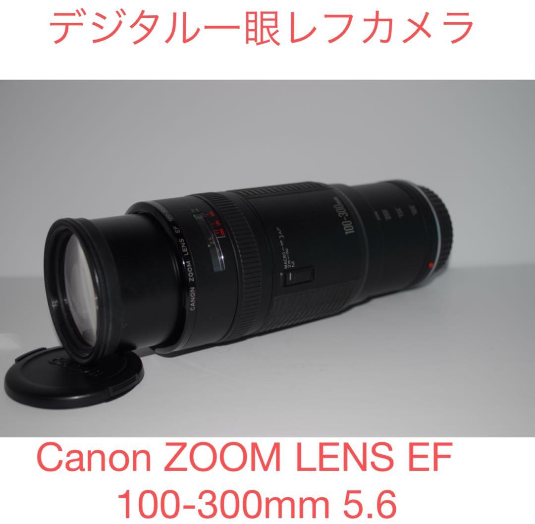 一眼レフカメラCanon ZOOM LENS EF 100-300mm 5.6 EF100-300mm F4.5-5.6 USM - キヤノンカメラミュージアム