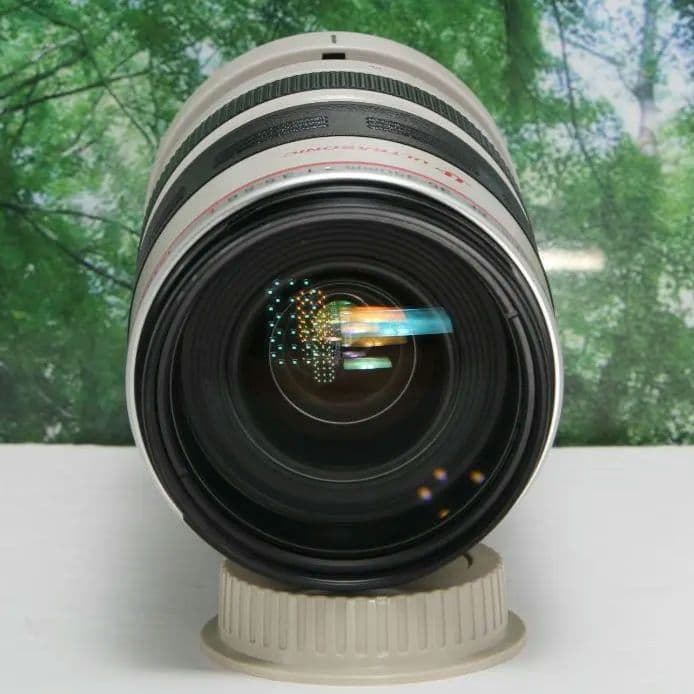 ☆光学超美品の白レンズ♪canon EF 35-350mmL F3.5-5.6☆