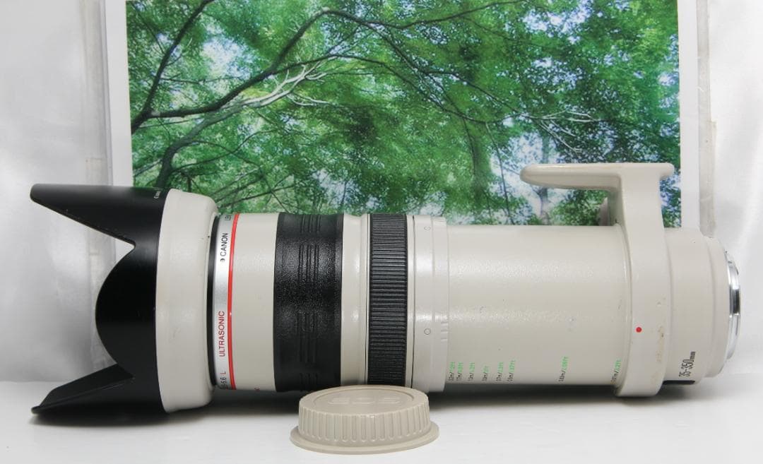 ☆光学超美品の白レンズ♪canon EF 35-350mmL F3.5-5.6☆