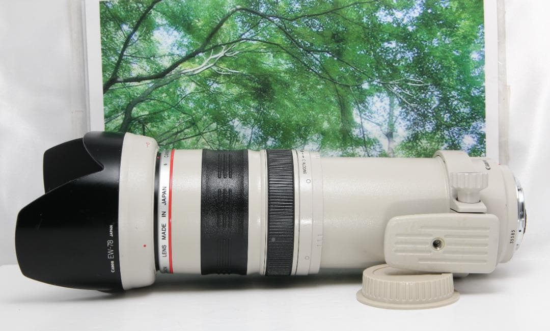 ☆光学超美品の白レンズ♪canon EF 35-350mmL F3.5-5.6☆