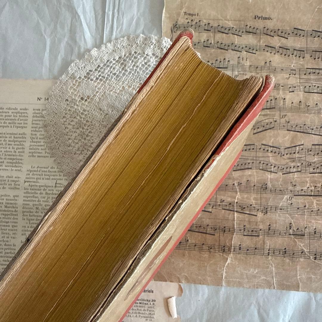 大容量レア1897年アンティーク洋書フランス語ジャンクジャーナル古書