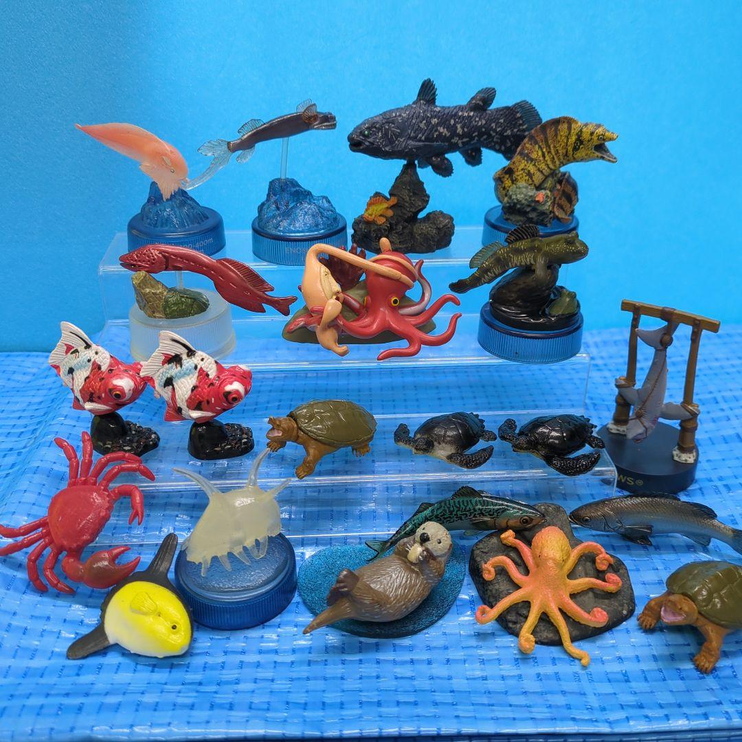 海洋堂・フルタチョコエッグ等、海の生物まとめ売り！ - メルカリ