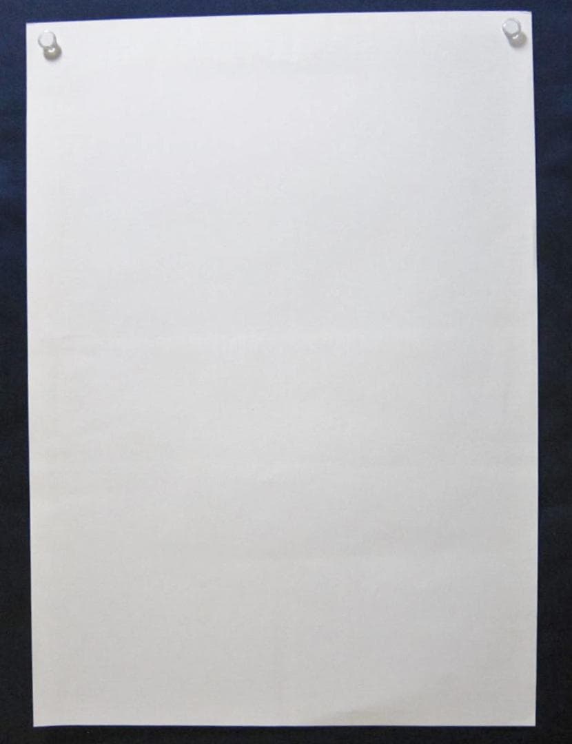 ピクミン2 ポスター 非売品 B2販促ポスター - メルカリ