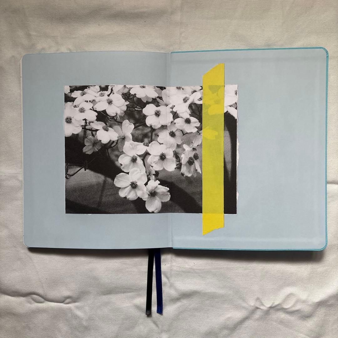 2026年 スケジュール帳 Sofia Coppola - メルカリ