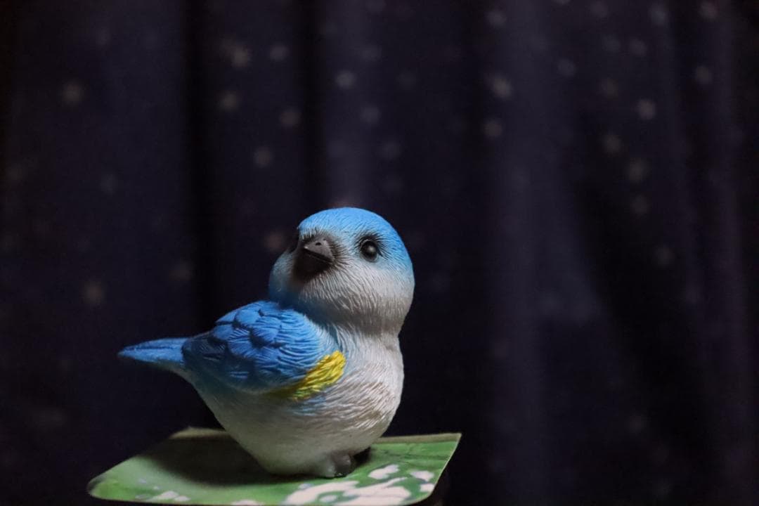 O*様 Canon EF-S 10-22mm f/3.5-4.5 USM APS