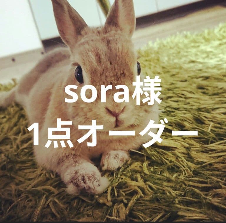 予期せぬ出来事 C+ パラレル