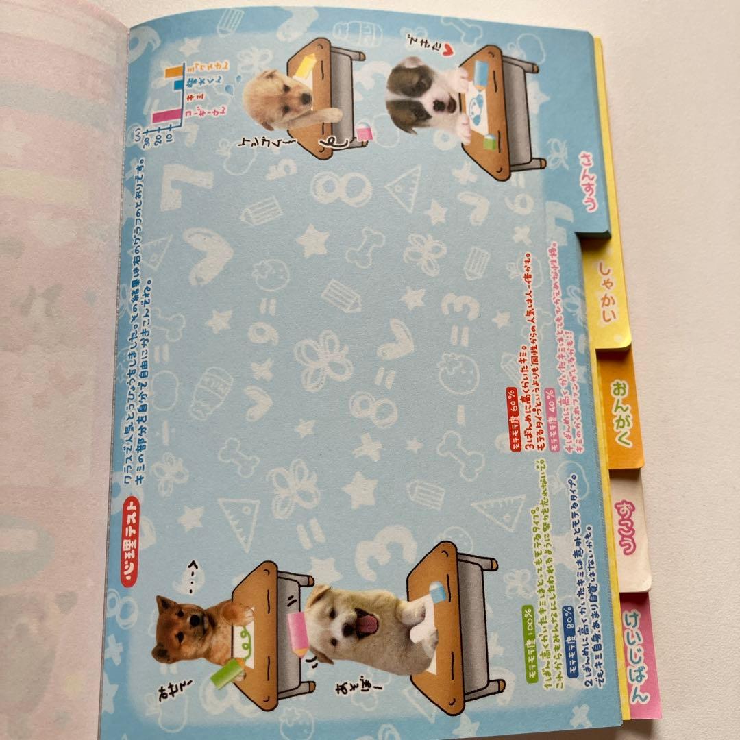 平成レトロ メモ帳 実写犬 わんこ 犬 インデックスメモ アニマル