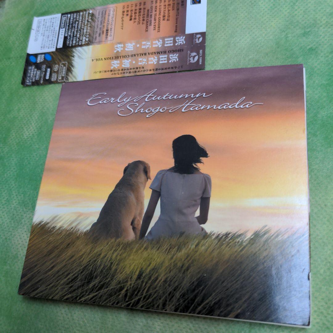 名盤傑作アルバム】初秋 浜田省吾 - メルカリ