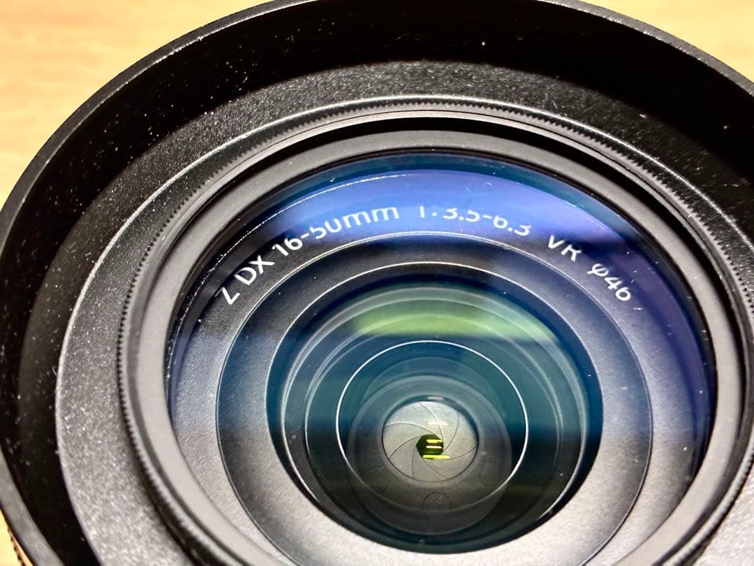 NIKKOR DX 16-50mm f/3.5-6.3（フード・フィルター付き）