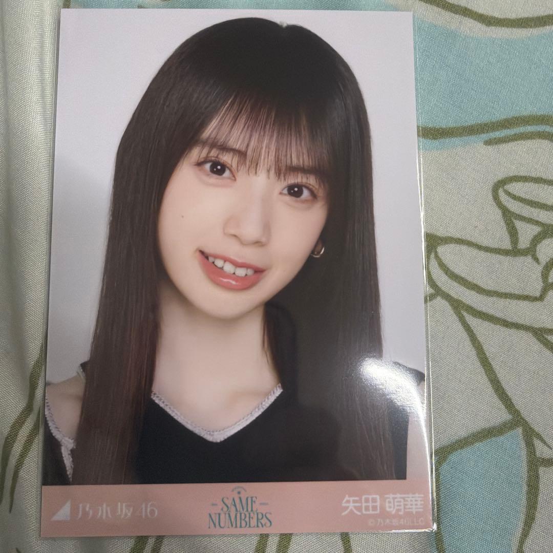 乃木坂46 矢田萌華 ポートレート写真same nunber - メルカリ