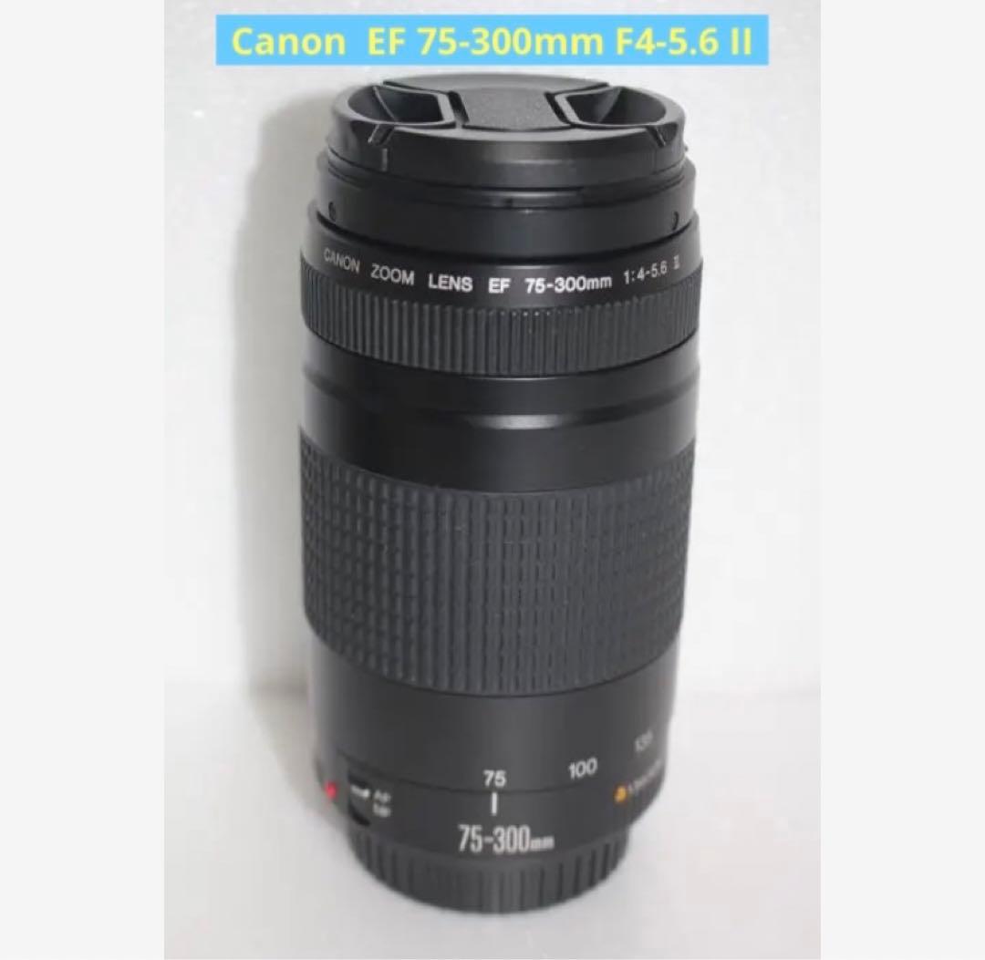 迫力の300㎜☆極上品☆フード付☆キャノン Canon EF75-300㎜