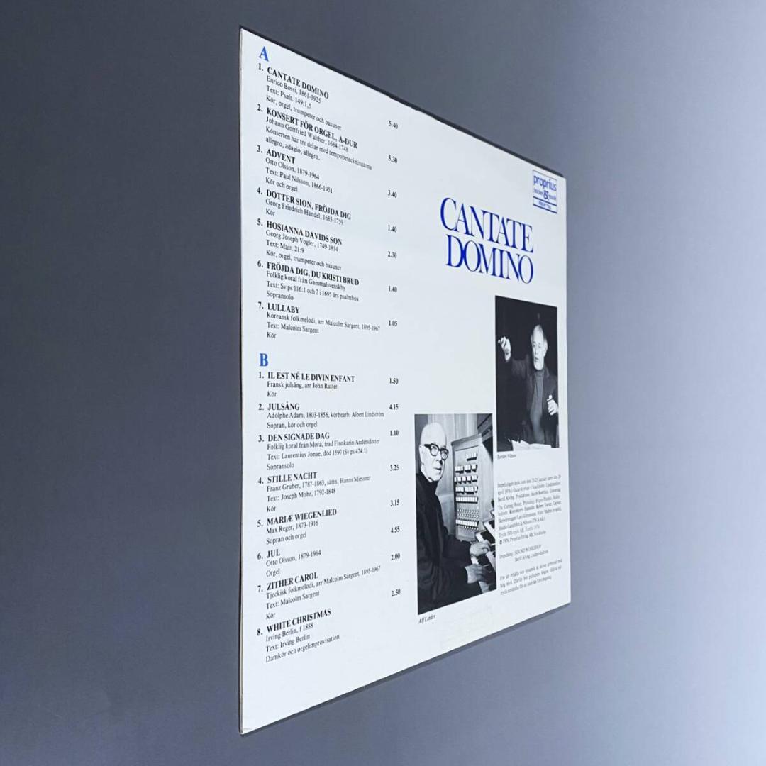 ★超絶美品！SWE完全初出【白地青文字ジャケ/解説リーフ付】 カンターテ・ドミノ