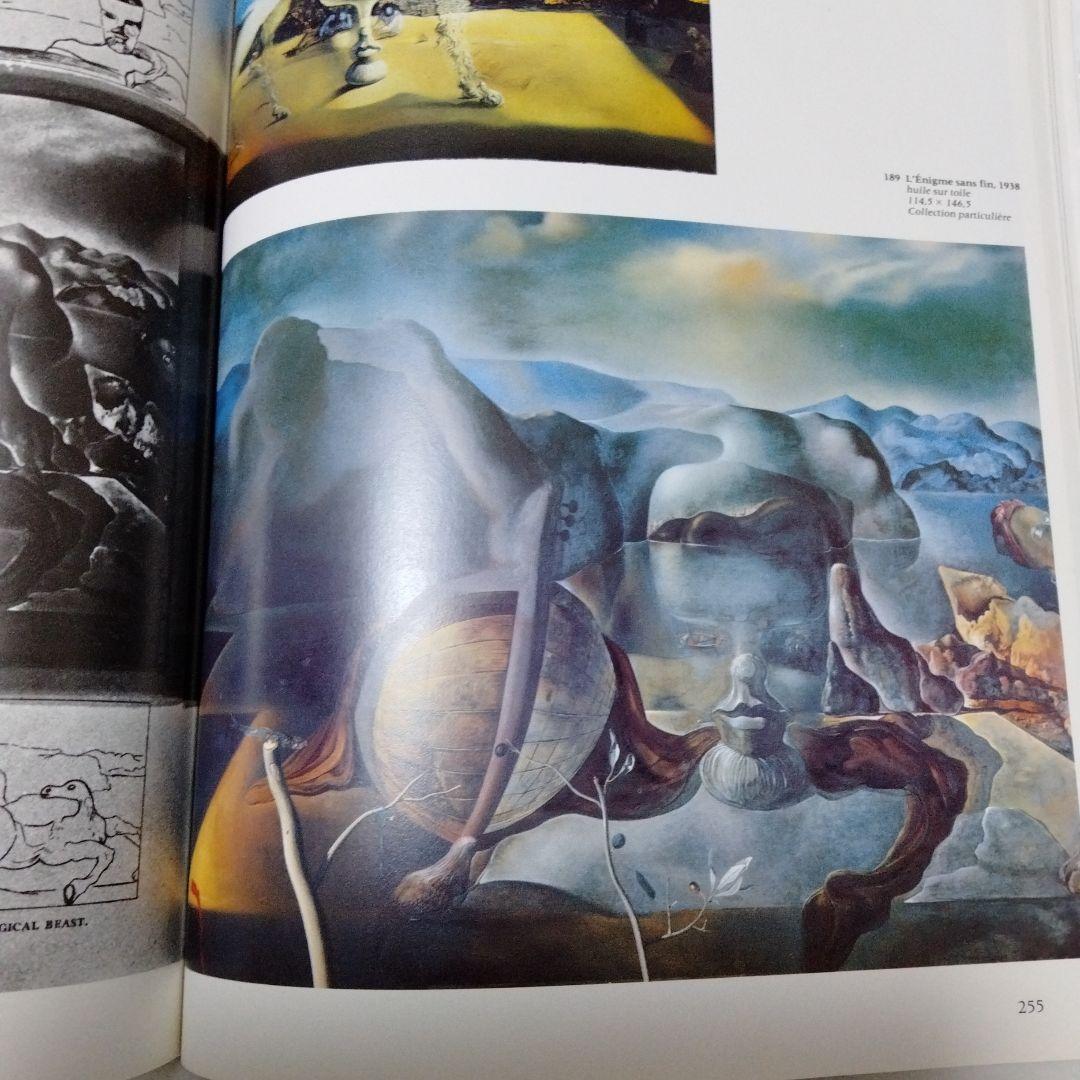 ダリ回顧展 図録 1980年 ポンピドーセンター 近代美術館 大型本 布装