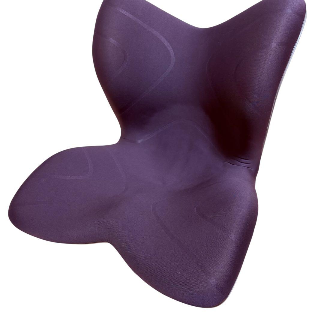 《極美品》MTG Style PREMIUM スタイル プレミアム 姿勢矯正