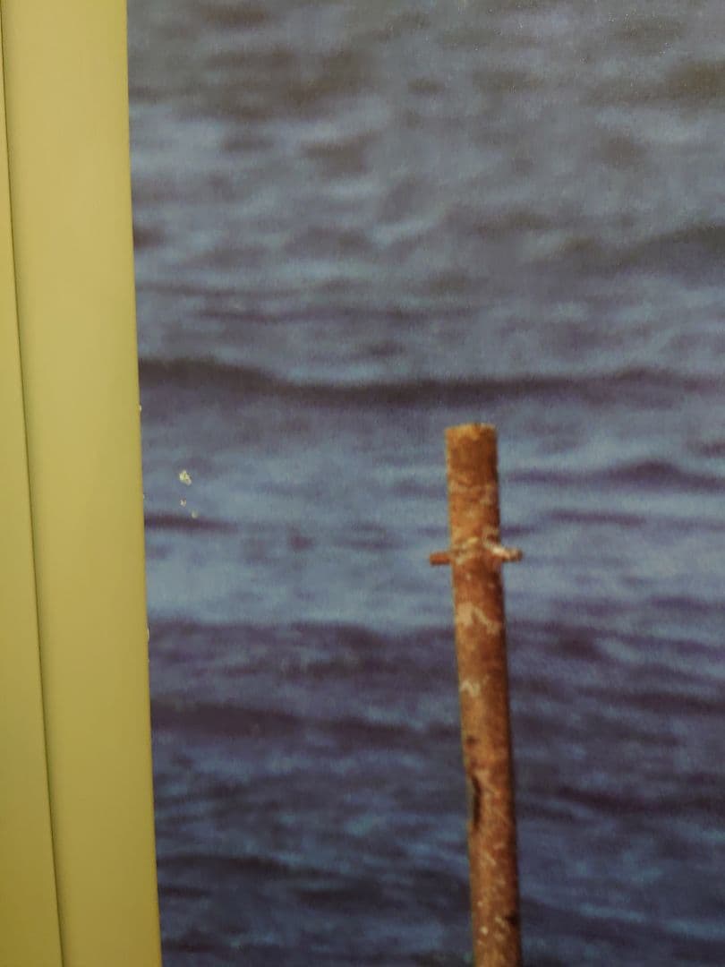 大型ポスター B1サイズ 貴重 レア 映画 ホタル 高倉健 宣伝用 ポスター