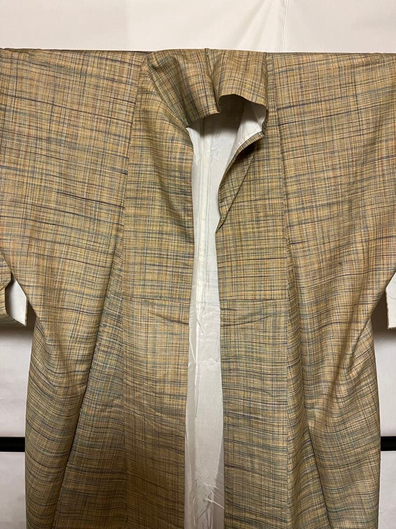 ☘️早い者勝ち☘️【超絶至宝品】○岐阜県無形文化財【郡上紬】○手引