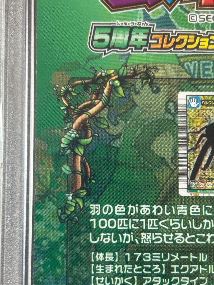 PSA8】 ヘラクレスリッキーブルー ムシキング 5周年 - メルカリ