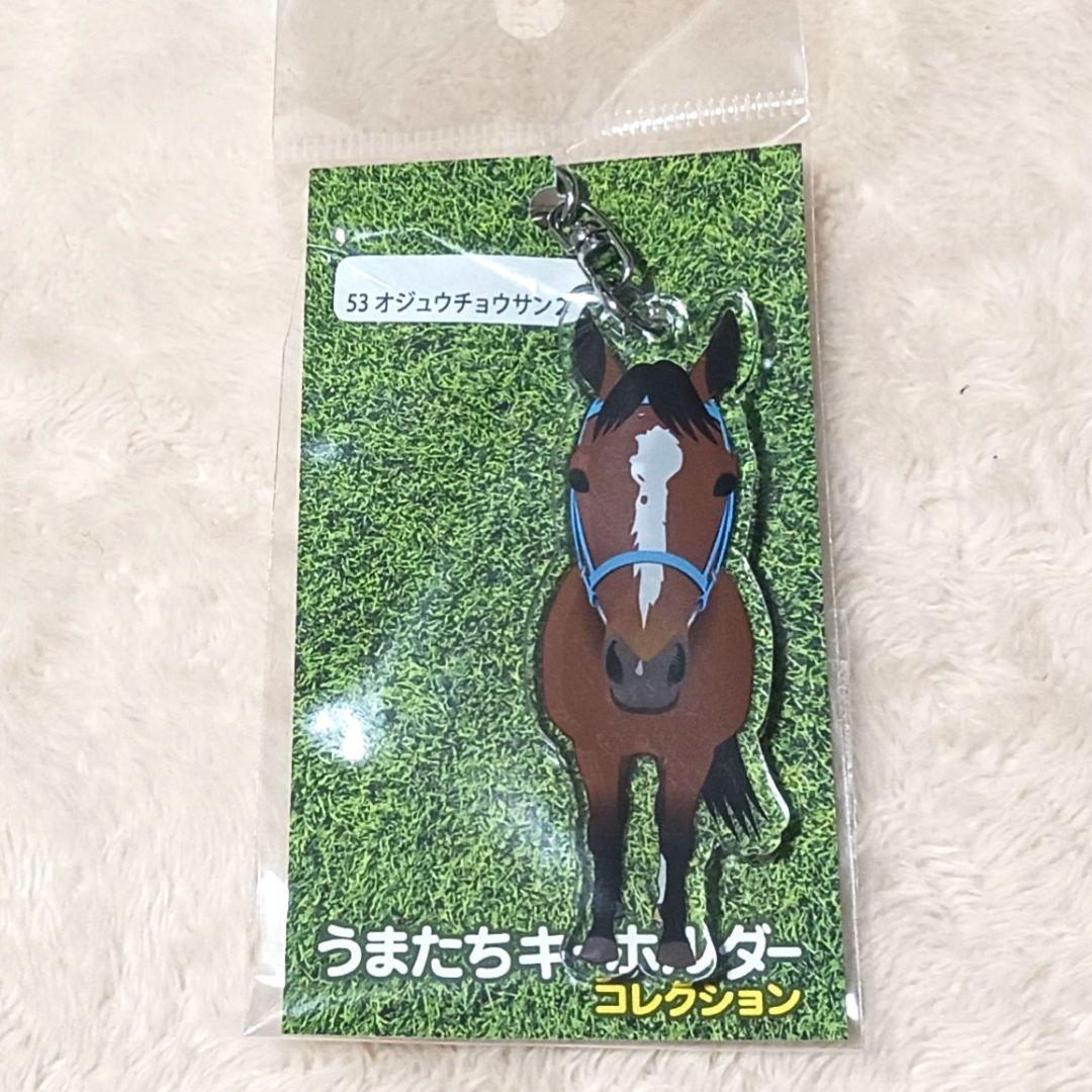 うまたちキーホルダーコレクション53オジュウチョウサン - メルカリ