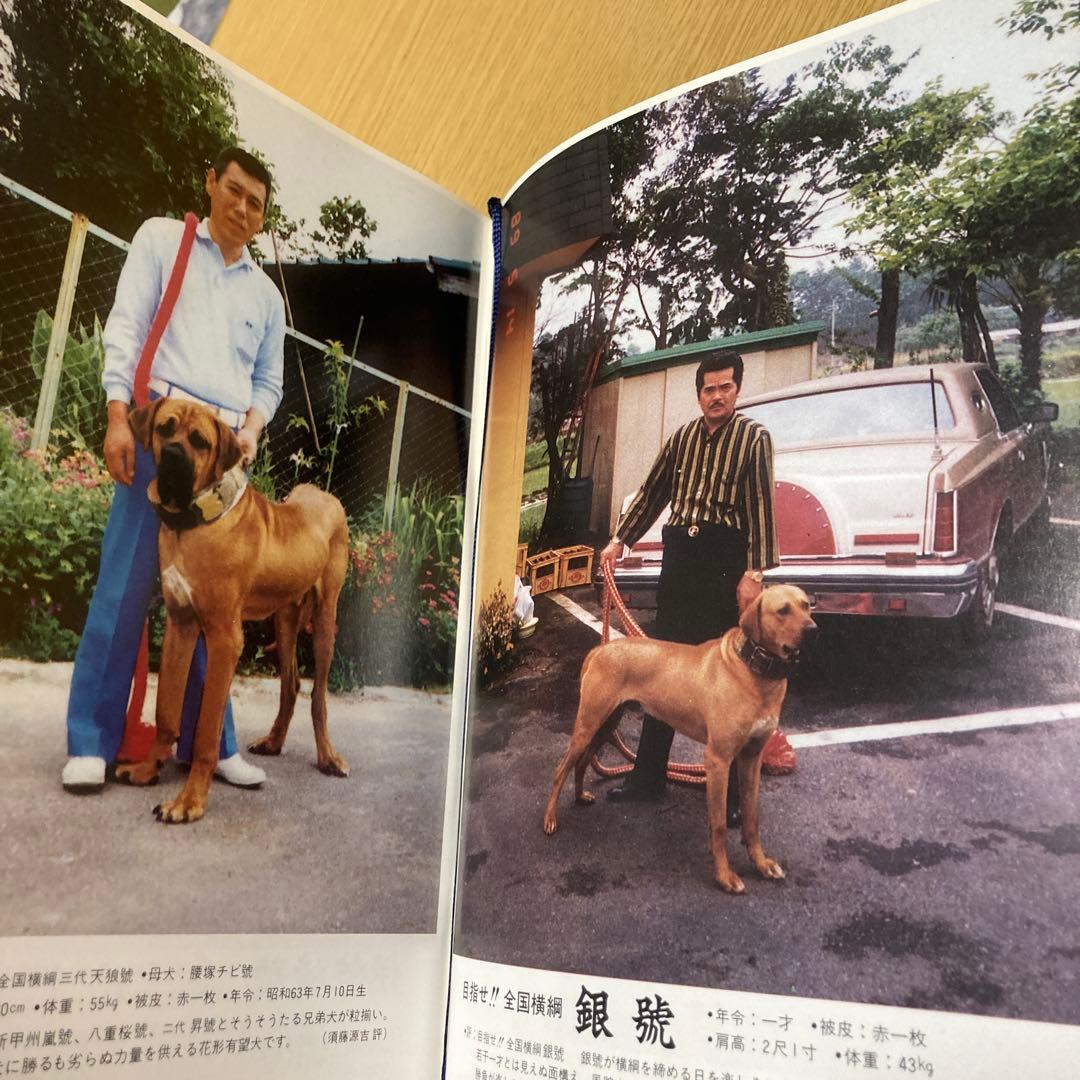 全日本土佐犬全集大鑑 第二編 ※ジャンク品※ - メルカリ