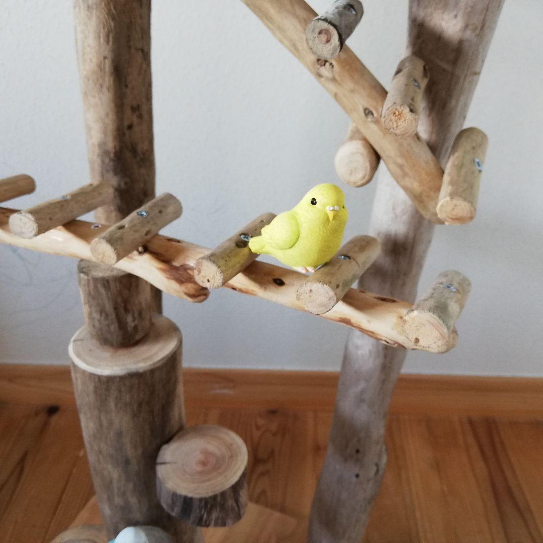バードアスレチックジム大型 ㉟ 天然木 自然木 流木 止まり木 インコ