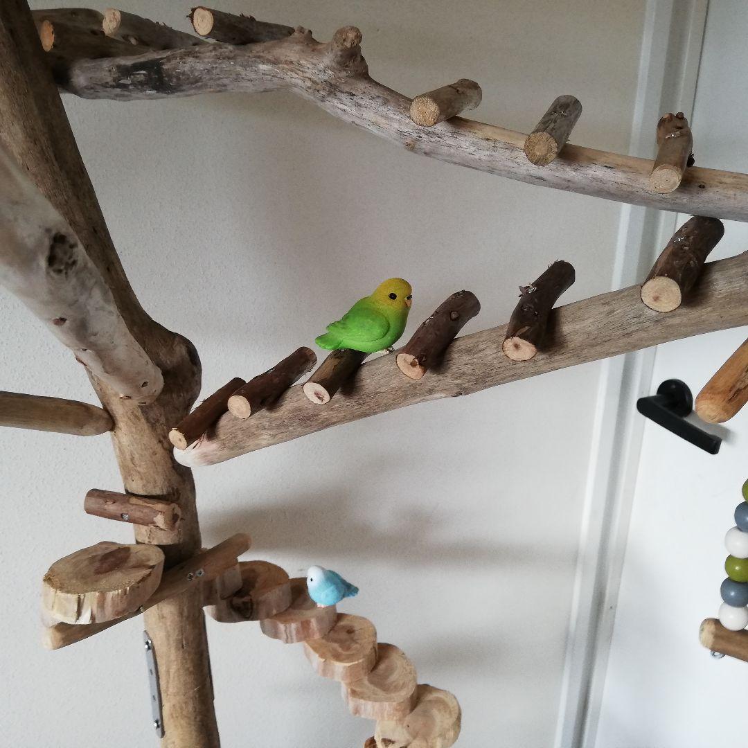 バードアスレチックジム大型 ㉟ 天然木 自然木 流木 止まり木 インコ