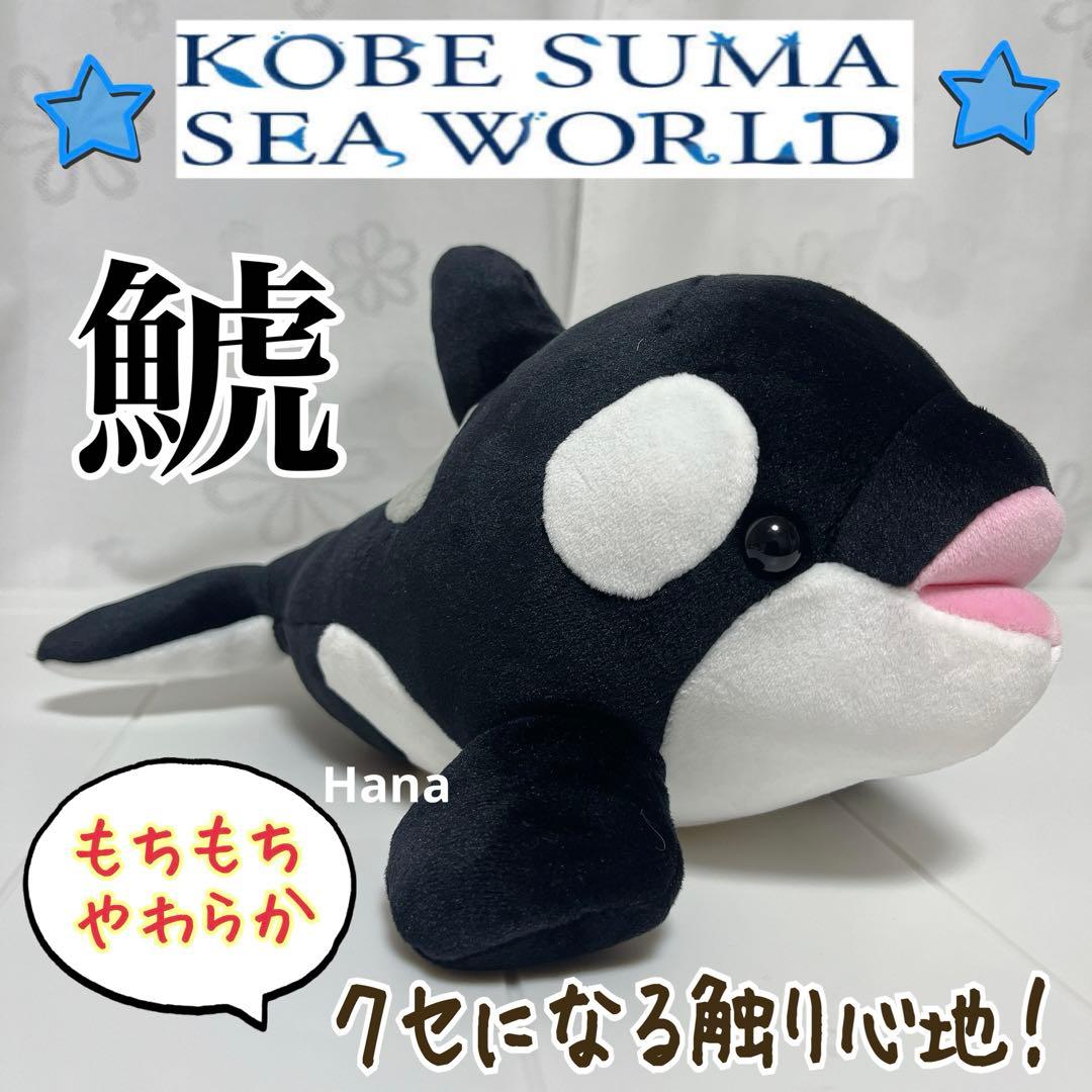 神戸 須磨シーワールド限定 水族館 シャチ もちもち やわららか