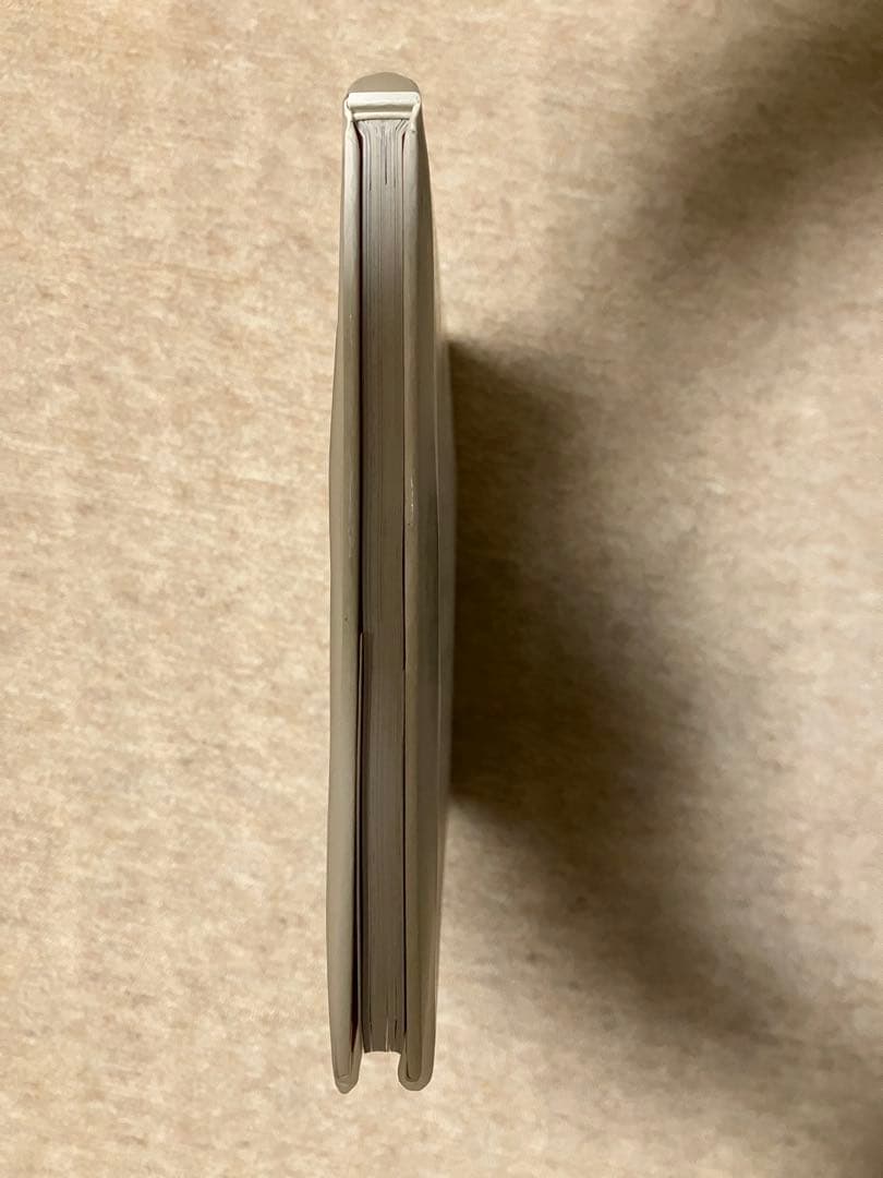 リタ　アッカーマン/Rita Ackermann 1993〜1996 初版