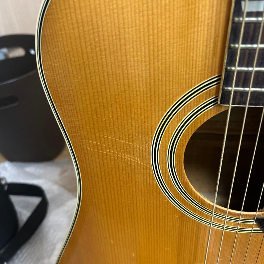レア品】pro martin w-35 アコースティックギター ピックガード付