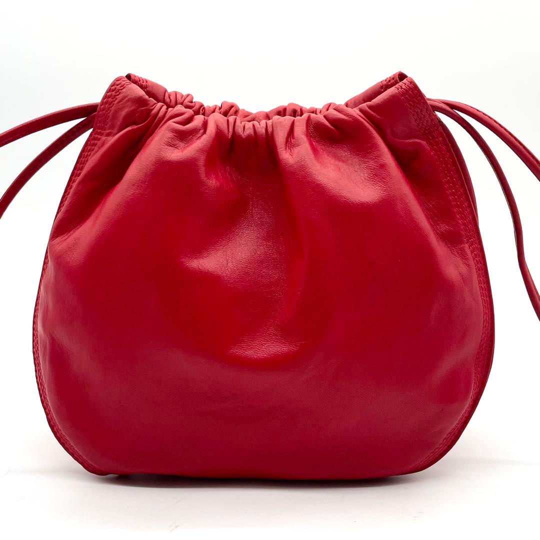 極美品✨ロエベ ショルダーバッグ 巾着 ナッパレザー アナグラム 保存