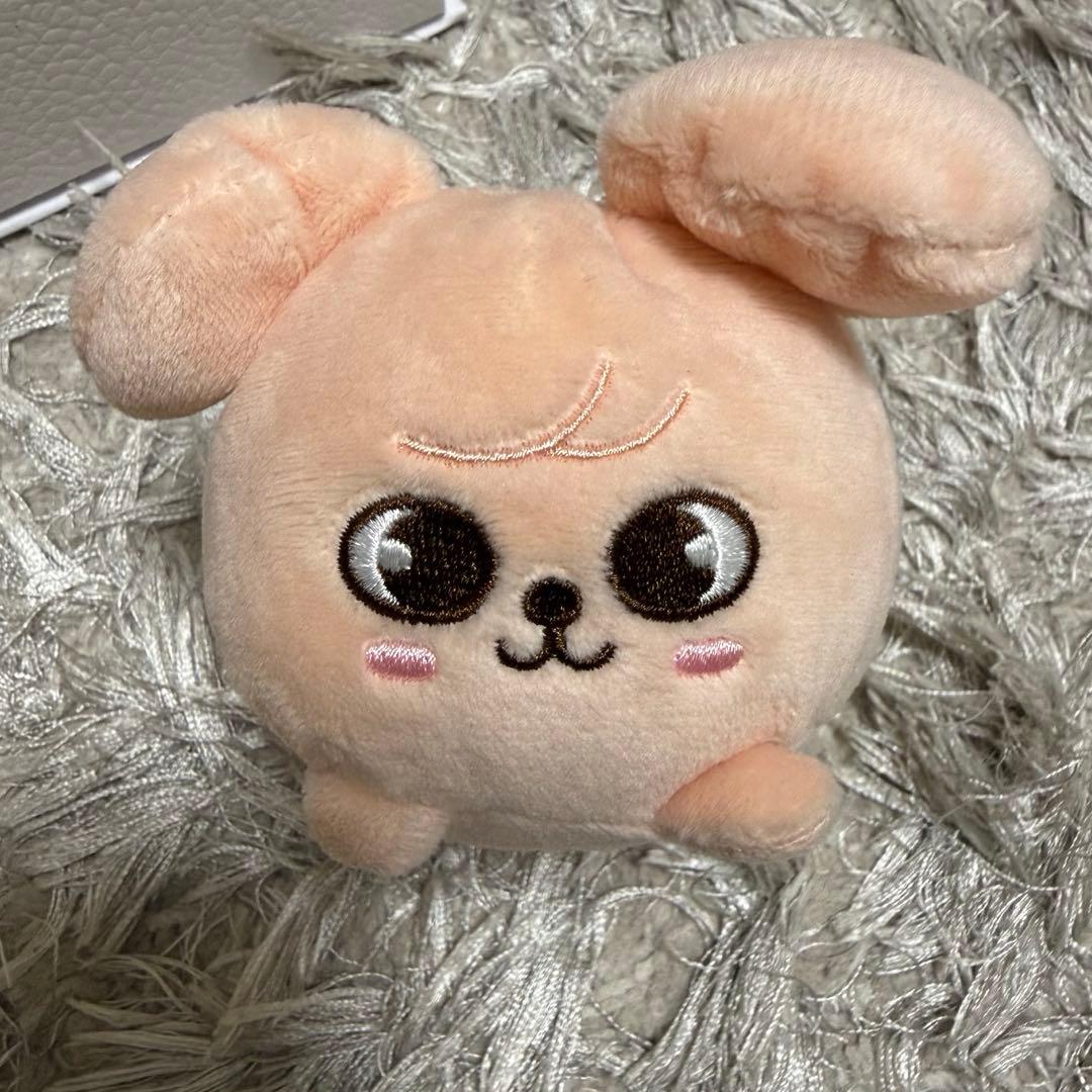 スキズ skzoo スンミン PuppyM ミニバッグチャーム - メルカリ