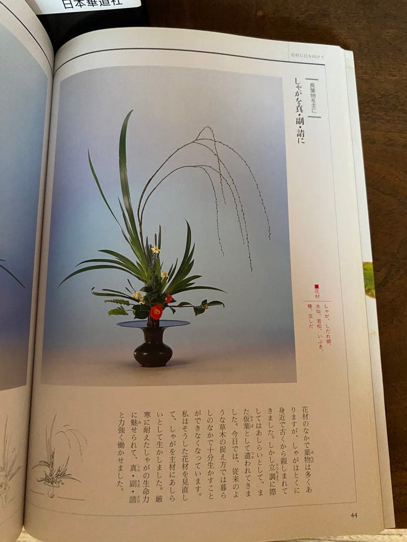 池坊 華道 生け花本 中村宗雄の立華 柴田英雄立華作品集 - メルカリ