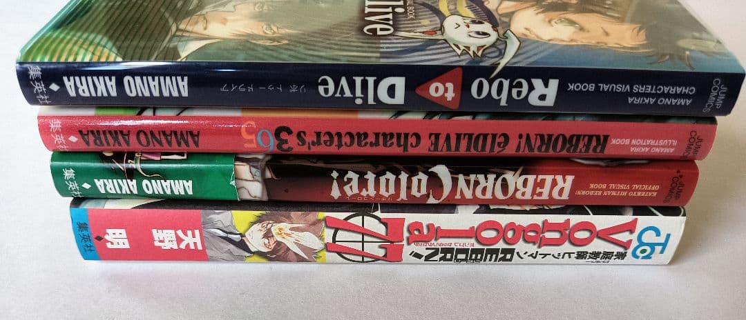 家庭教師ヒットマンREBORN! ファンブック ビジュアルブック イラスト