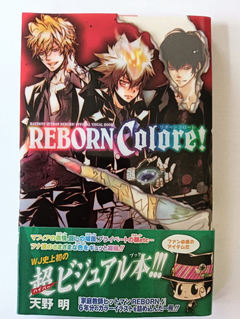 家庭教師ヒットマンREBORN! ファンブック ビジュアルブック イラスト