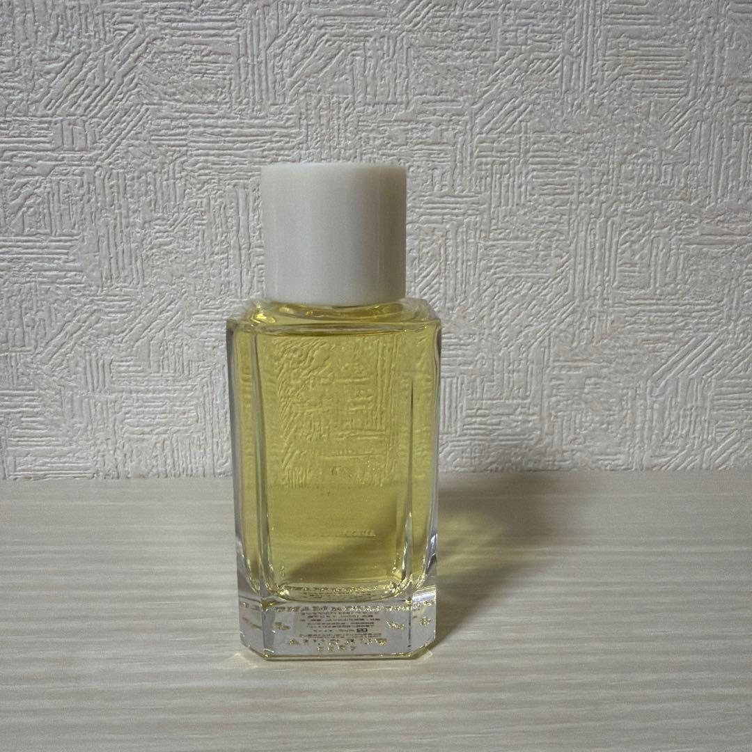 フエギア アンバルデロスアンデス 100ml - メルカリ