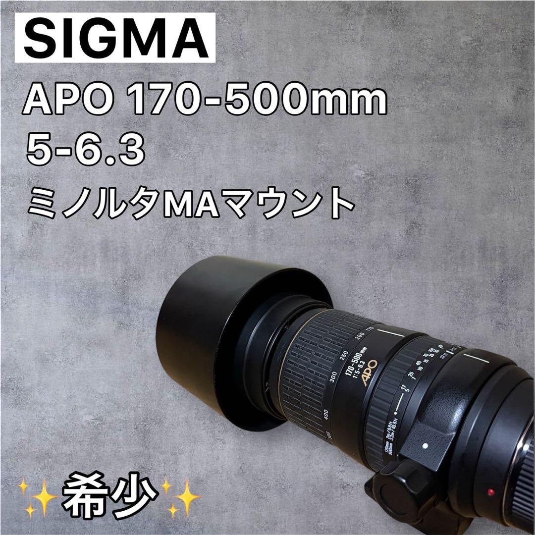 レンズ(ズーム) SIGMA APO 170-500mm 1:5-6.3 714D5HUXiBL._AC_UF350,