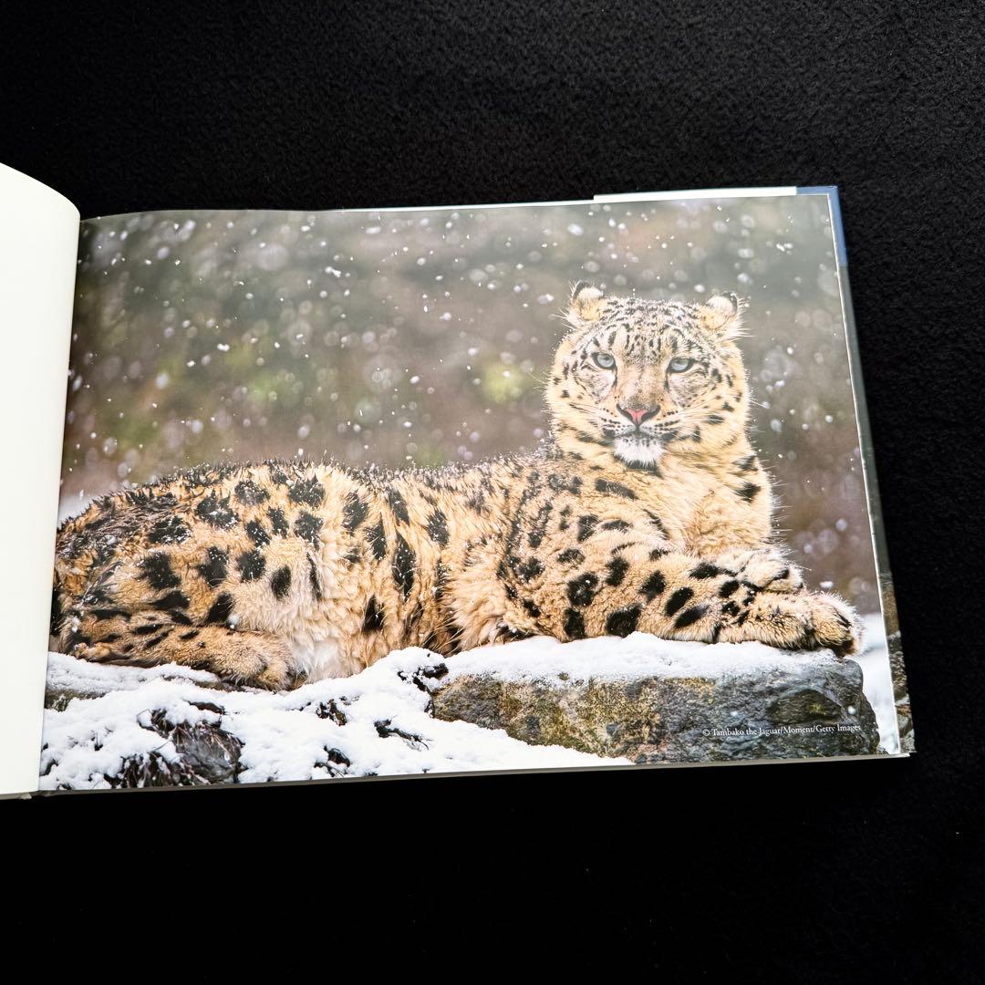 絶版】「神の獣 雪豹」秋山知伸 監修 2019年 ラーテルハート WWF