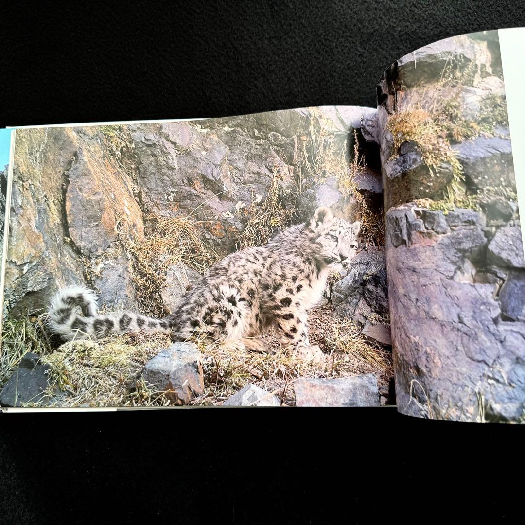 絶版】「神の獣 雪豹」秋山知伸 監修 2019年 ラーテルハート WWF