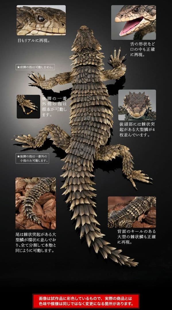 いきもの大図鑑アルティメット オオヨロイトカゲ - メルカリ