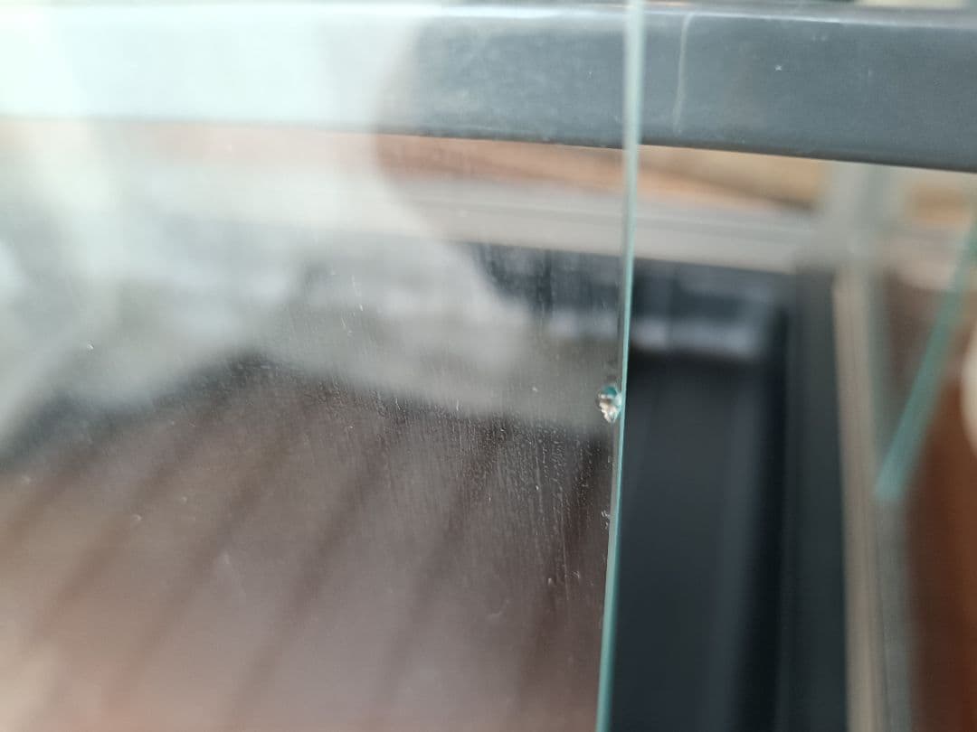 昭和アルミブルーリボン ネオラック ガラス温室 引き取り限定 大阪市港